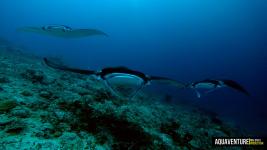Aquaventure Maldives - Addu Atoll (9)