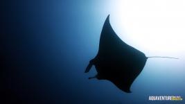 Aquaventure Maldives - Addu Atoll (78)