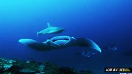 Aquaventure Maldives - Addu Atoll (16)