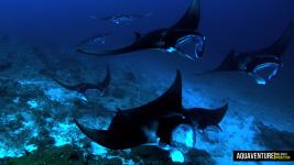 Aquaventure Maldives - Addu Atoll (17)