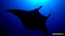 Aquaventure Maldives - Addu Atoll (2)
