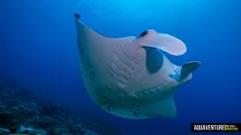 Aquaventure Maldives - Addu Atoll (24)